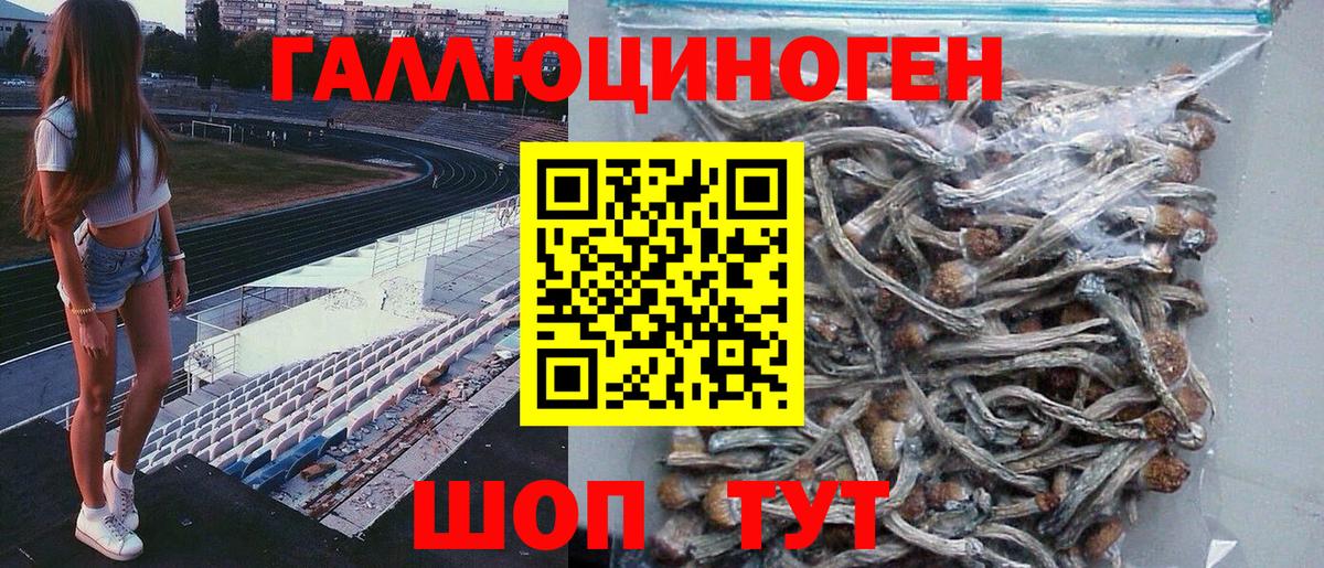 Псилоцибиновые грибы Psilocybine cubensis Казань