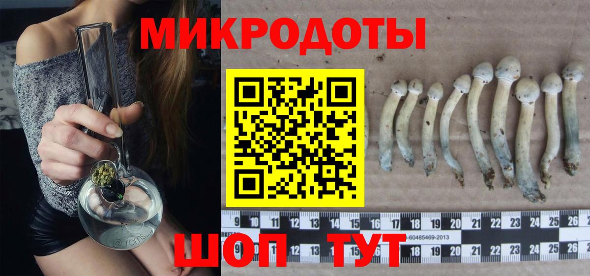 Галлюциногенные грибы MAGIC MUSHROOMS  Вход с VPN  Казань  Галлюциногенные грибы мицелий 
